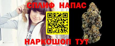МДПВ Кинель