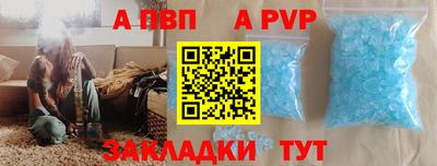 твердый Кингисепп