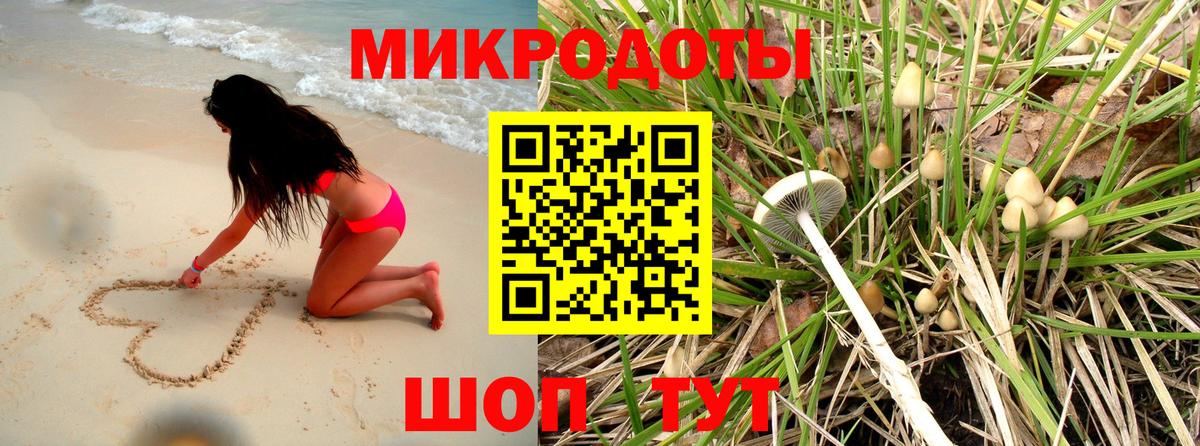 Галлюциногенные грибы GOLDEN TEACHER  Вход с VPN  Галлюциногенные грибы прущие грибы  Кудымкар 